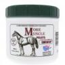 More Muscles solution